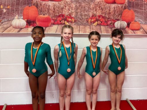 evolve-gymnastics_800 Evolve Gymnastics Academy