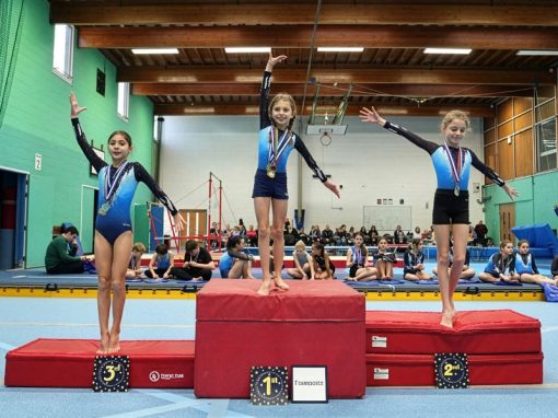 Bicester-&-District-Gymnastics-800 Bicester and District Gymnastics